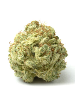 Blue Dream (Hybrid)